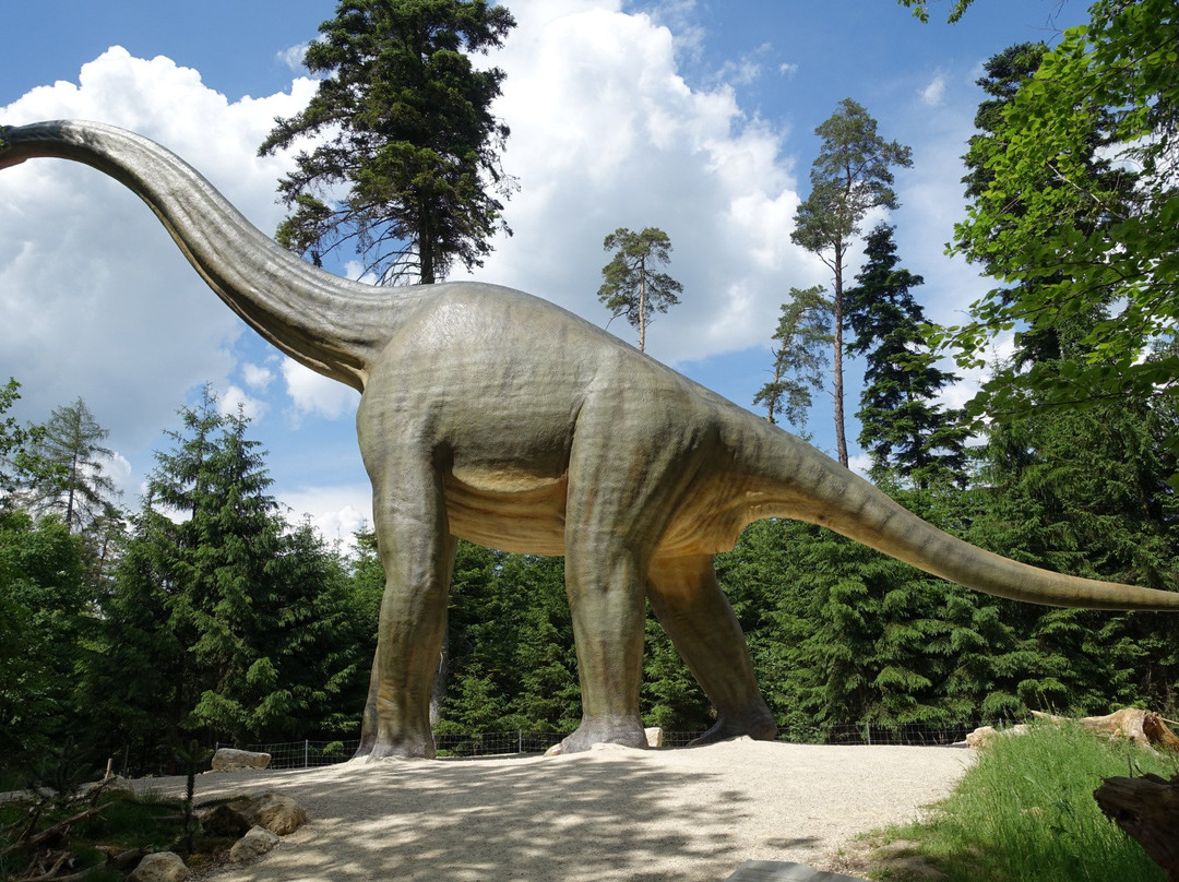 Dinosaurier Museum Altmühltal景点图片