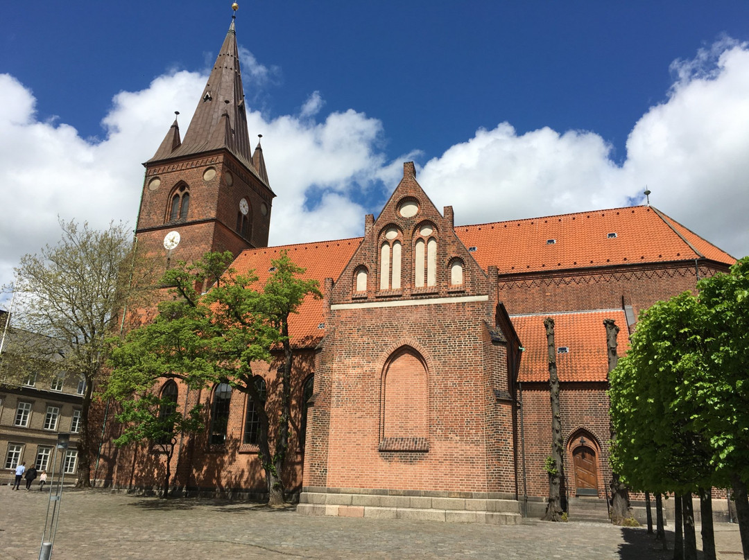 Sankt Nicolai Kirke景点图片
