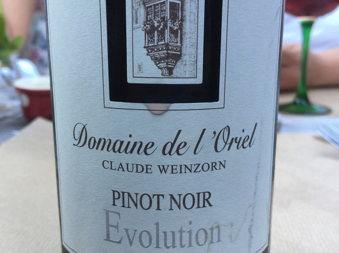 Domaine de l'Oriel景点图片