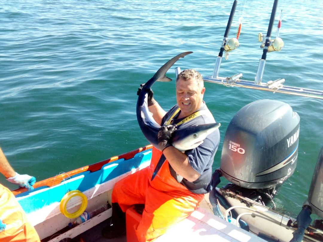 Out On The Bay Charters-St. Helena Bay必去景点