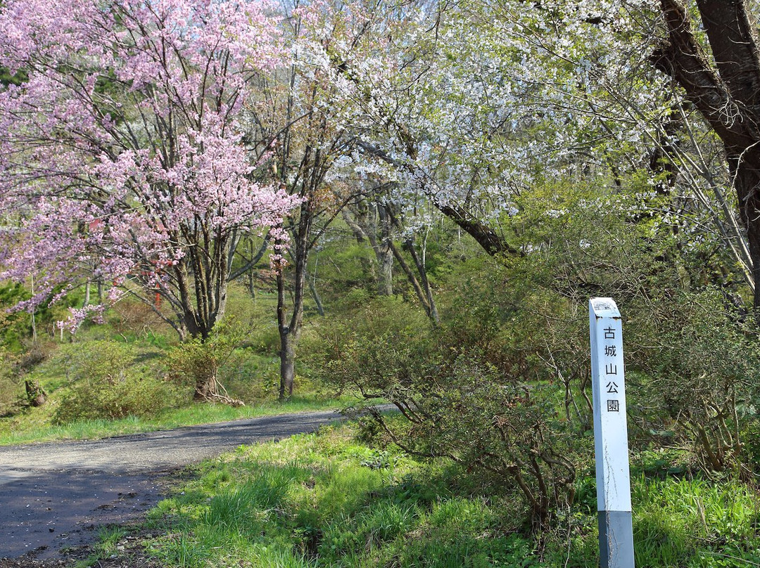 Furushiroyama Castle Ruins (Furushiroyama Park)景点图片