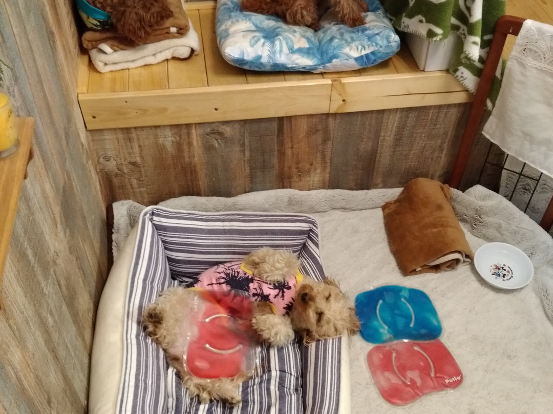 のみやっちゃん丼丸 よみせ通り店