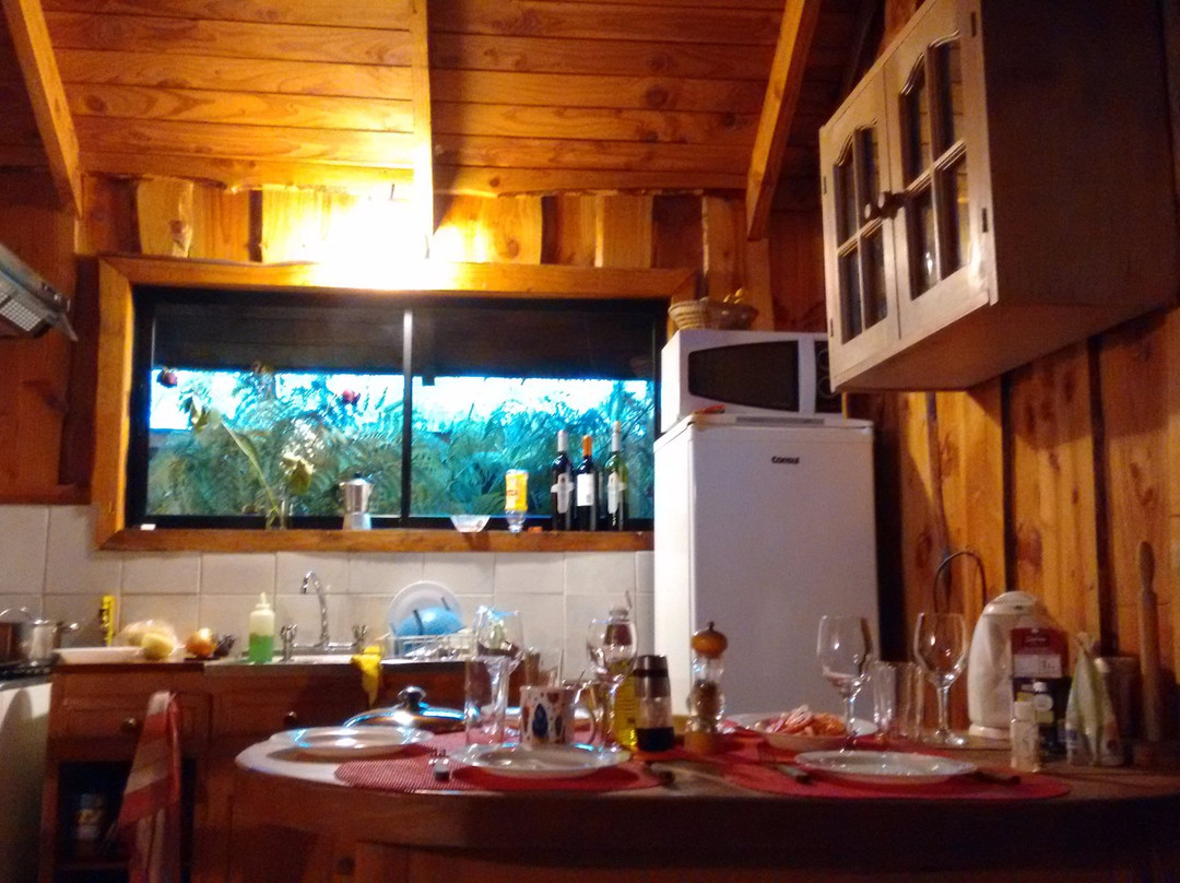 Panguipulli酒店住宿-Hotel Rucapillan