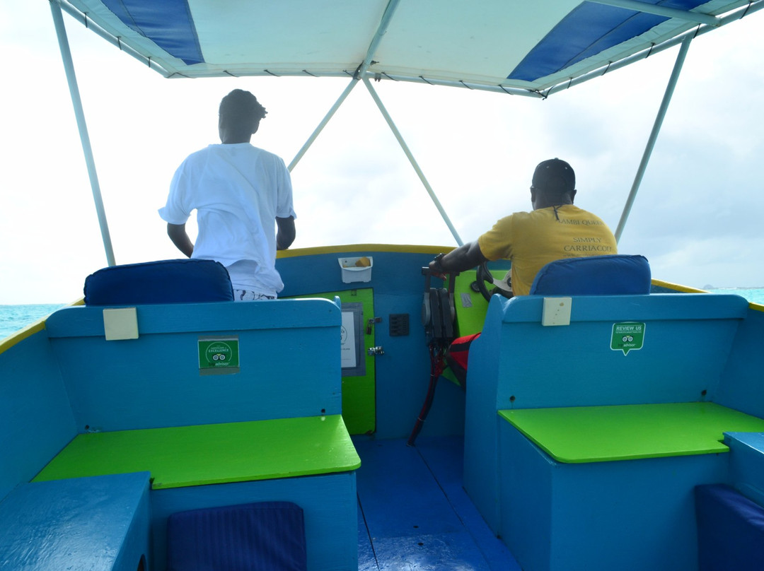 Simply Carriacou Island Tours景点图片