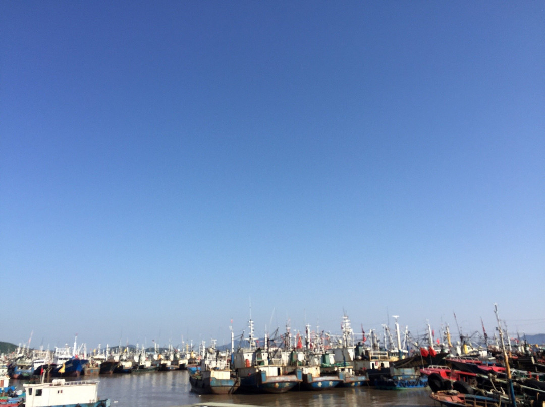 沈家门渔港-舟山市必去景点