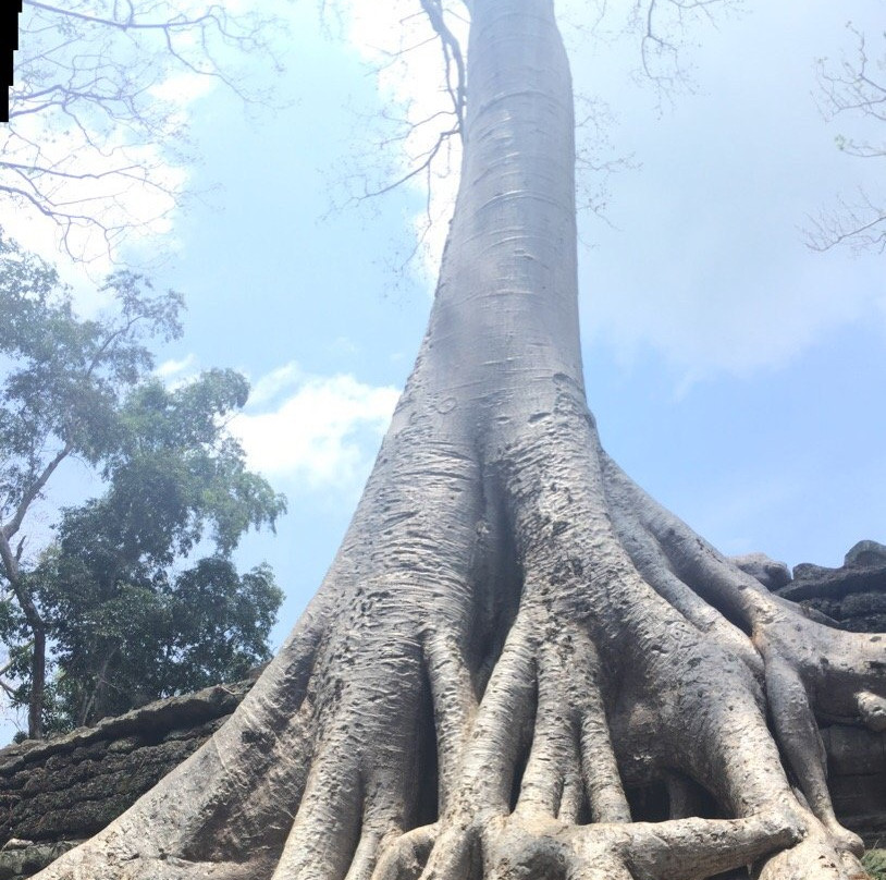 Angkor Guide Pal-暹粒必去景点