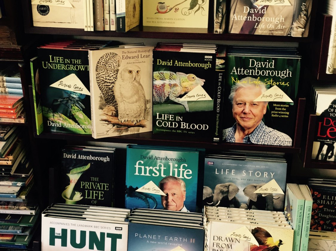 The Open Book-泰晤士河畔里士满必去景点