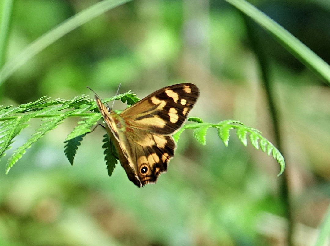 Belgrave Lake Park-贝尔格雷夫必去景点