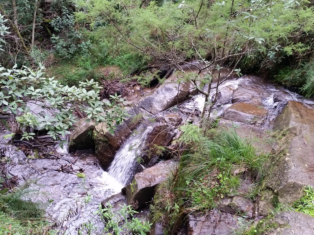 Olinda Falls景点图片