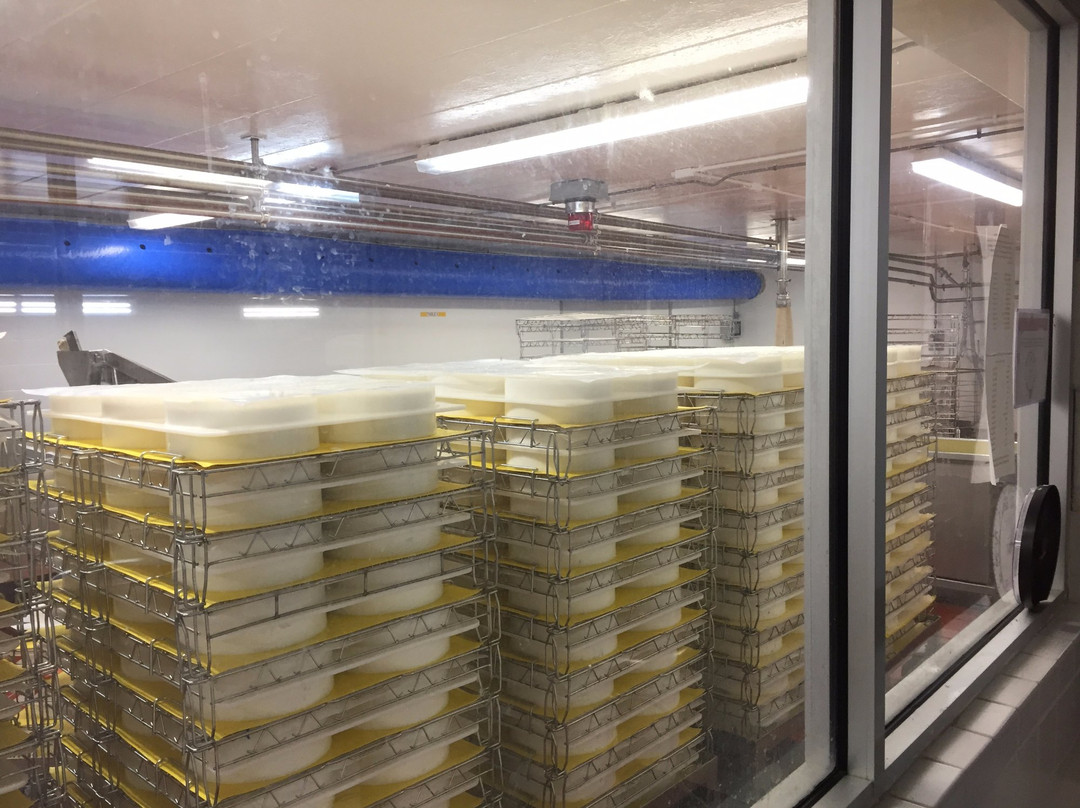 Roth Kase Cheese Factory-Monroe必去景点