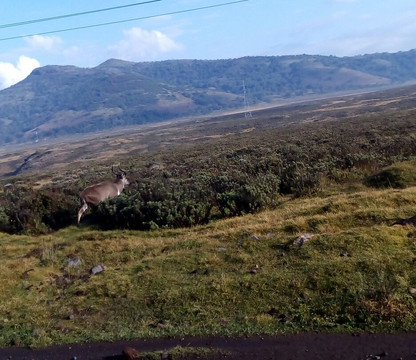 Alliance éthio-française de Dire Daoua-Dire Dawa必去景点