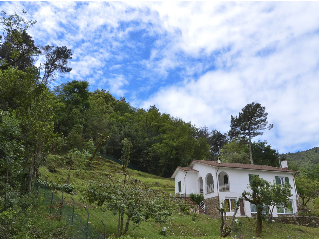 Montemarcello酒店住宿-Villa Porto sul Magra