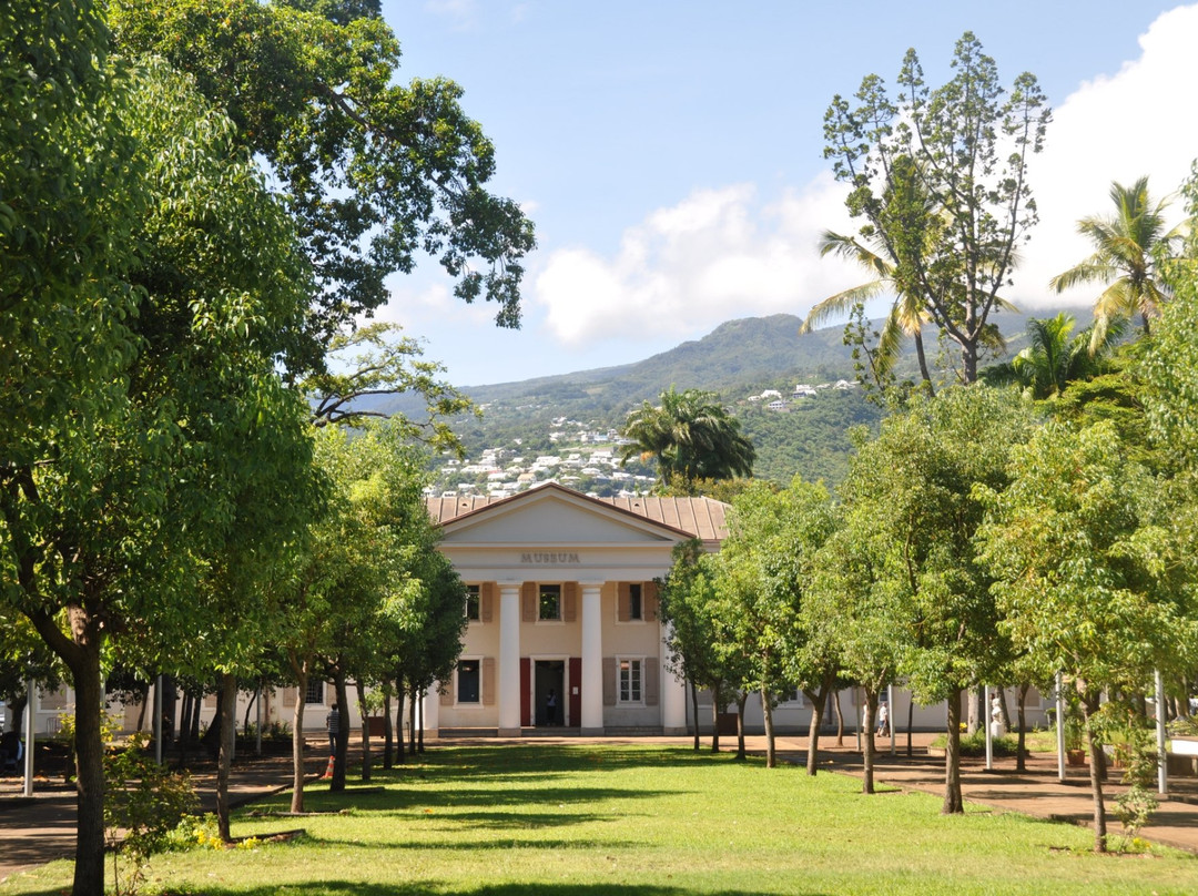 Muséum d'Histoire Naturelle de La Réunion景点图片