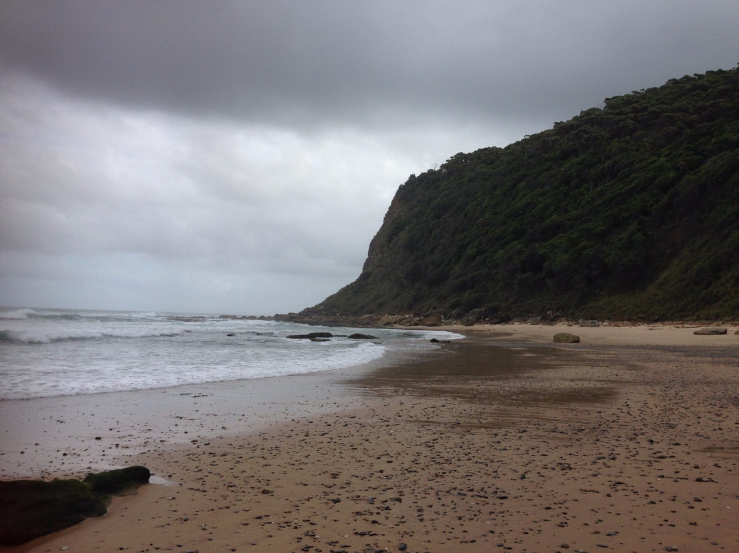Werrong Beach-Royal National Park必去景点