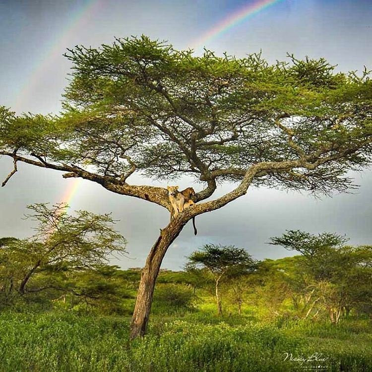 Palmridge Tours and Travels-奇安波必去景点