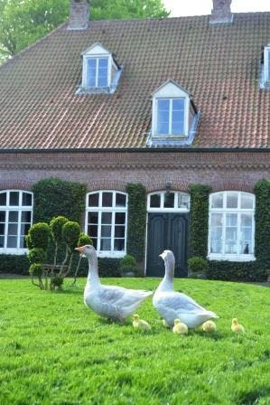 Osterburg Groothusen-Krummhoern必去景点