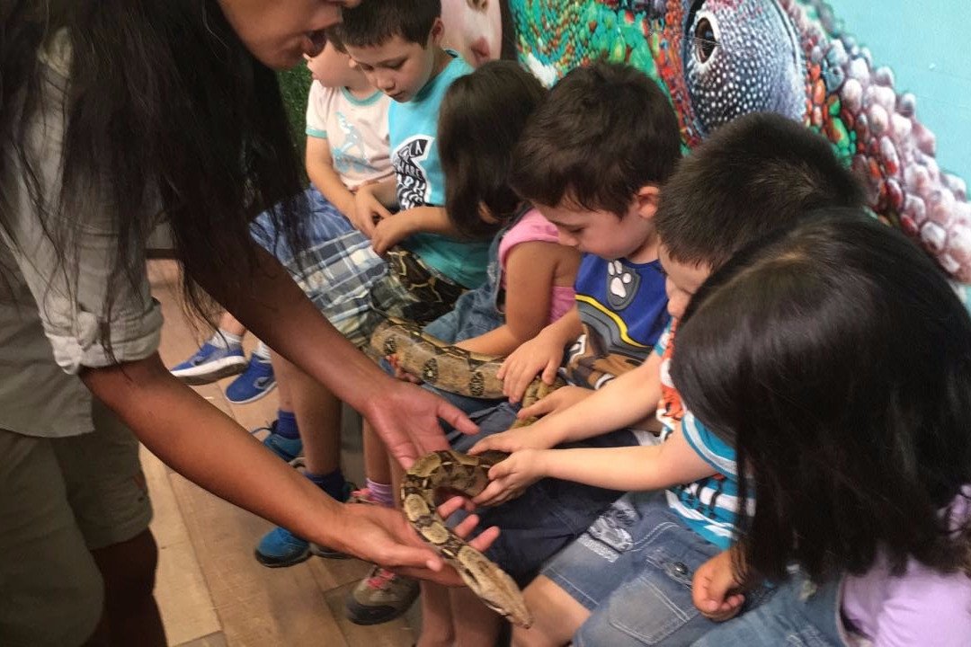 Selva Viva-圣地亚哥必去景点