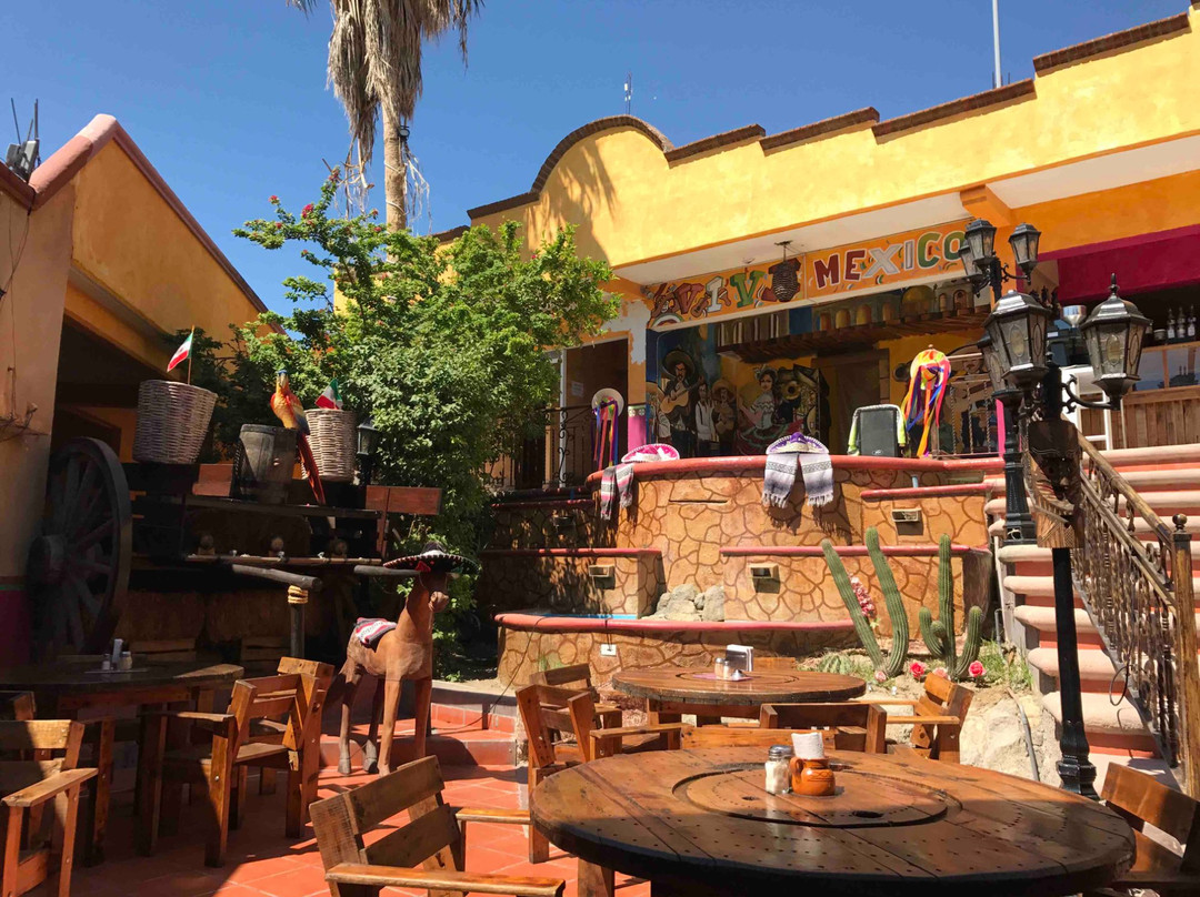 Las Guacamayas - Cabo San Lucas