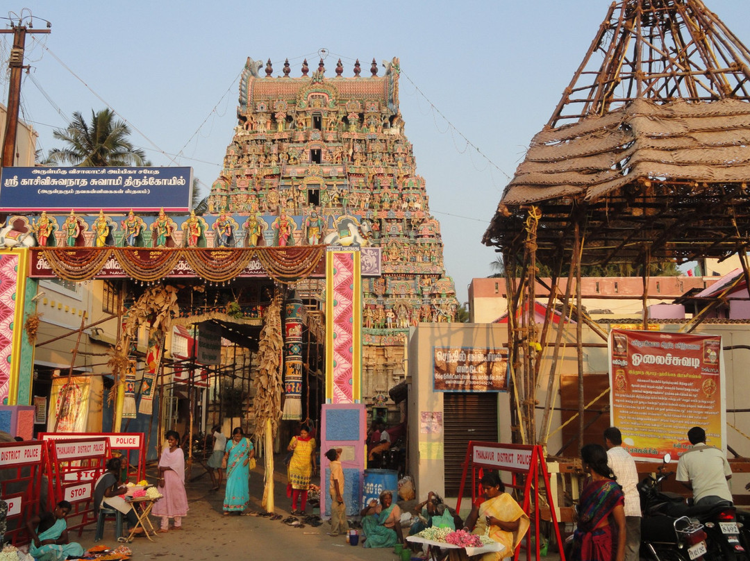 Kasi Viswanathar Temple景点图片