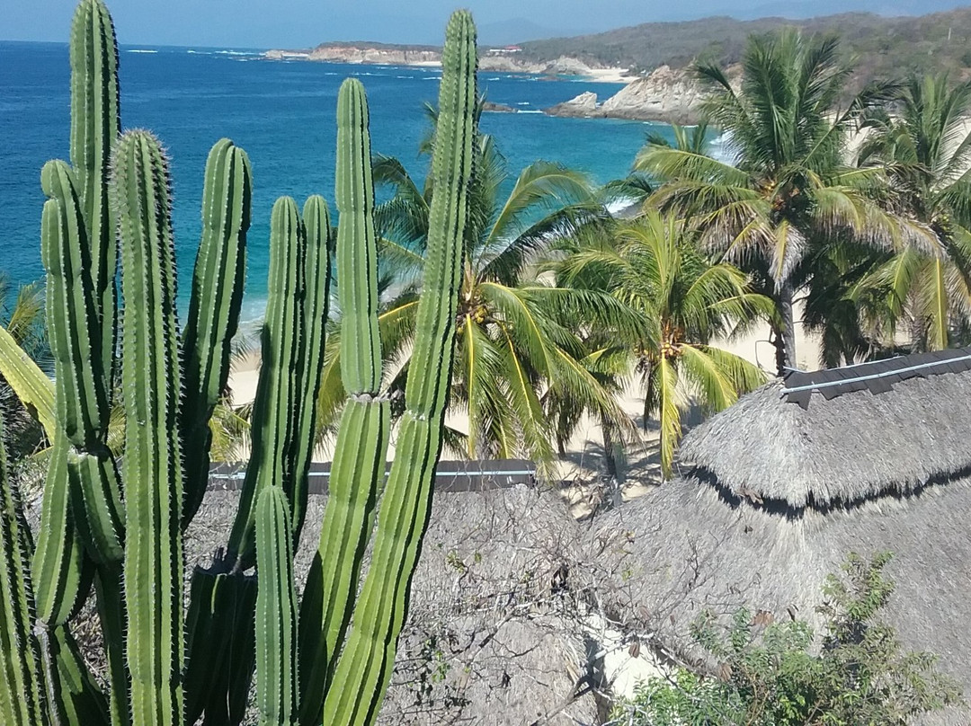 Playa El Faro de Bucerías景点图片
