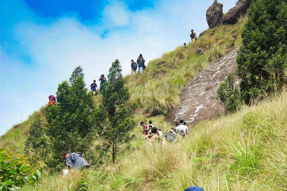 Chokramudi Peak景点图片