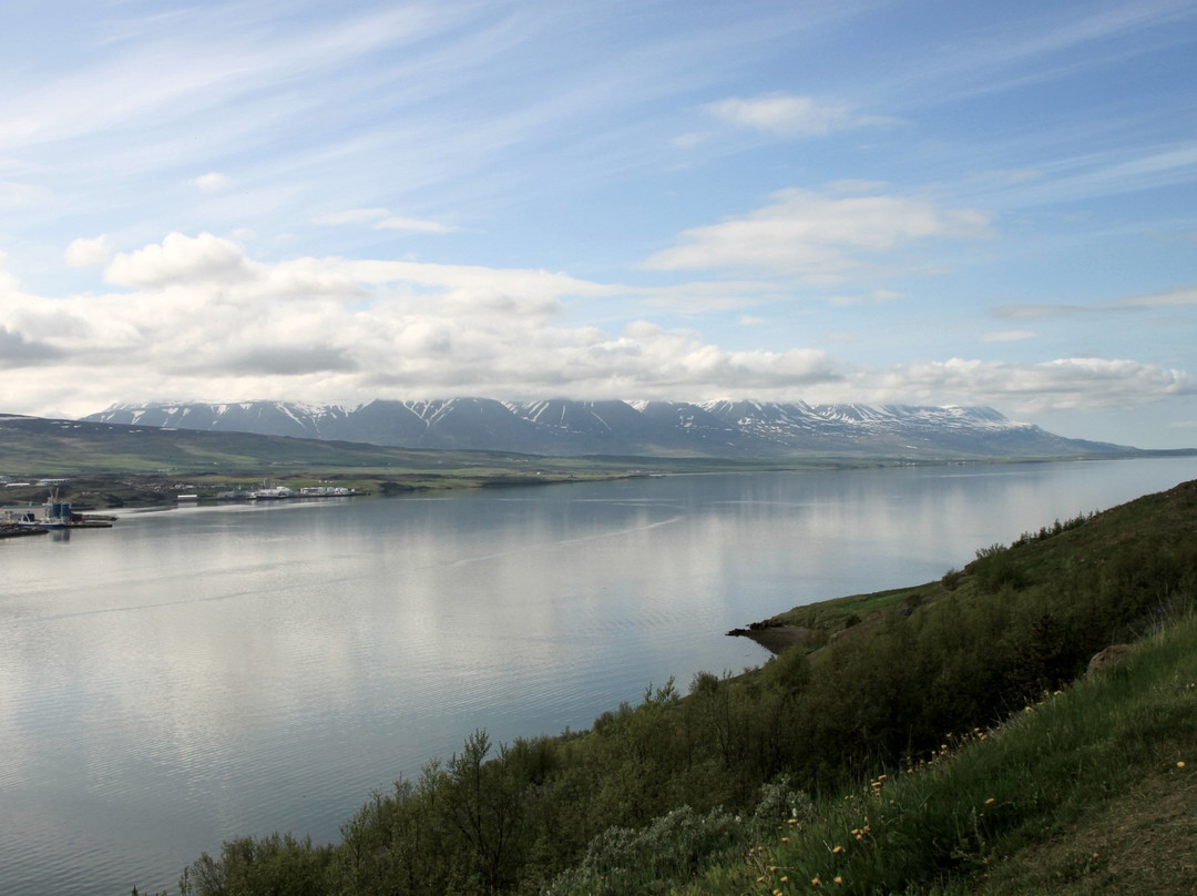 Estuary of the river Eyjafjardará景点图片