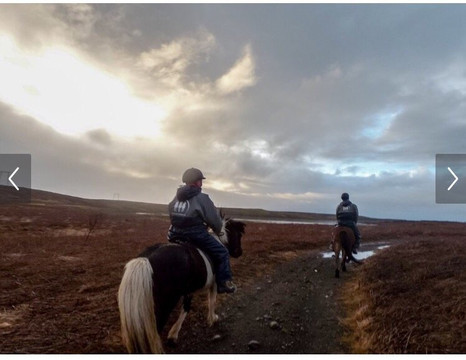 Icelandic Riding-雷克雅未克必去景点