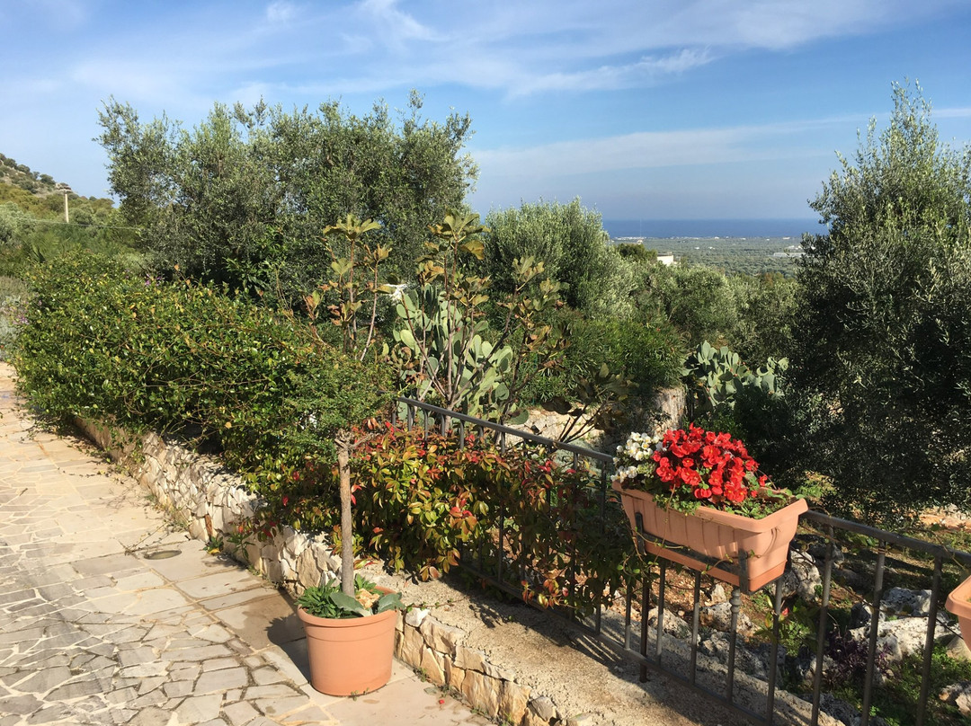 Guest House B&B Pietra Bianca