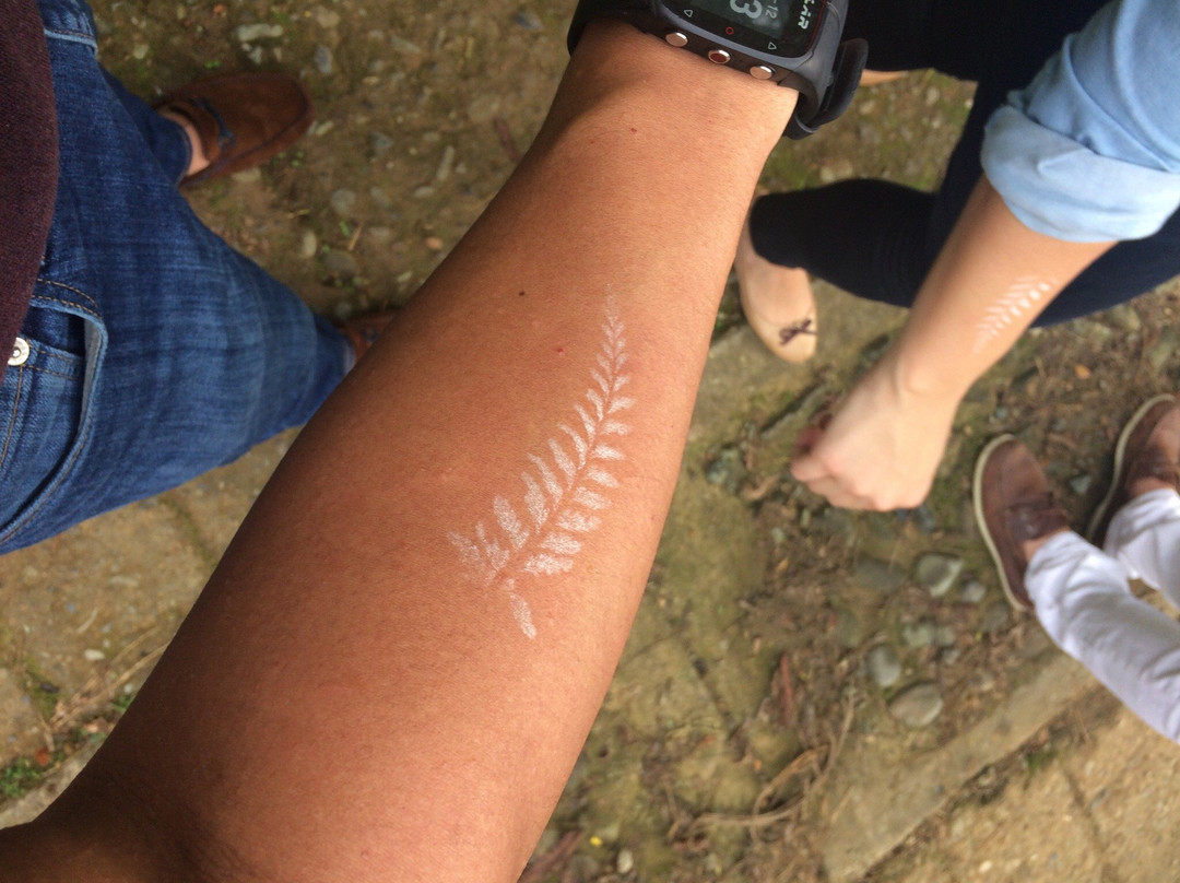 Hane Coffee-布埃纳维斯塔必去景点