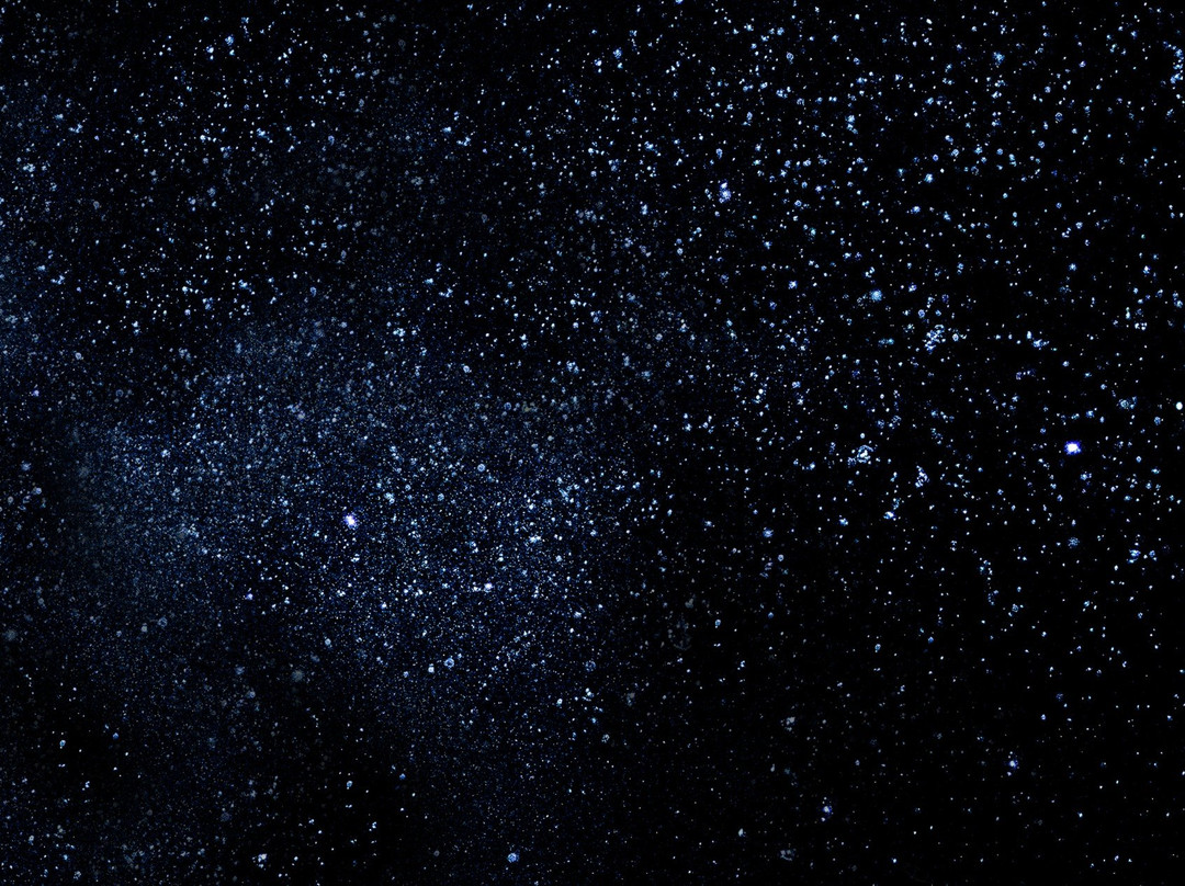 Bonfire Station-Taggerty必去景点