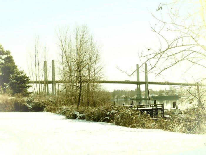 Golden Ears Bridge-匹特草原必去景点