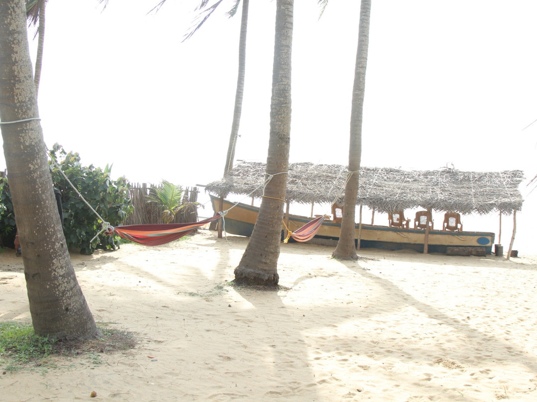 Dolphin Village主图