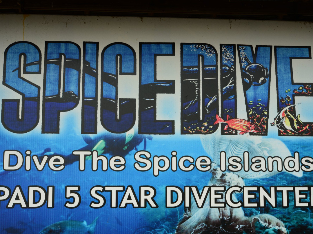 Spice Dive景点图片