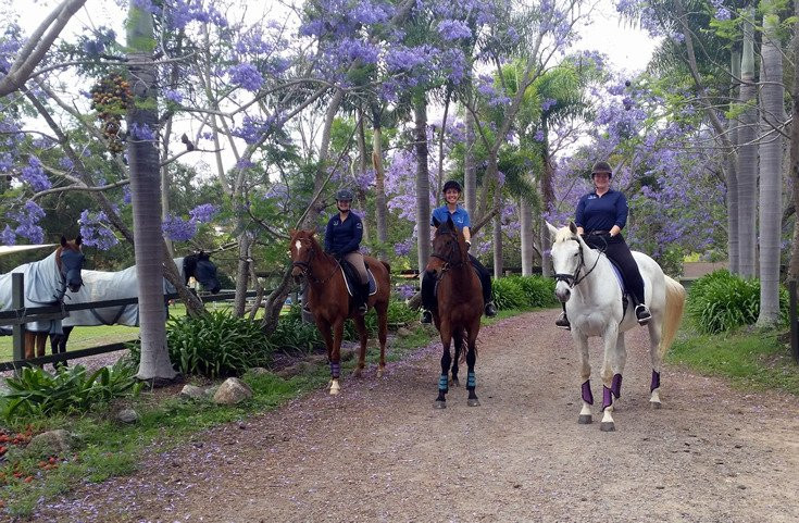 Wattle Creek Equestrian Centre-布里斯班必去景点
