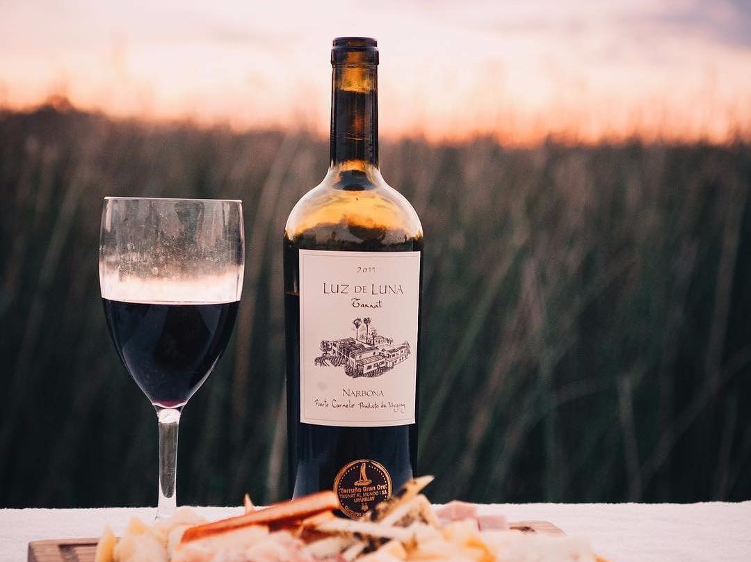 Ruta Del Vino Carmelo-Carmelo必去景点