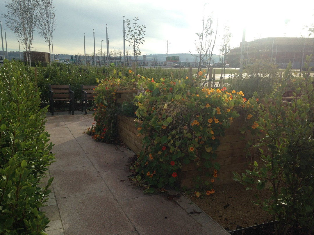 Slessor Gardens-敦提必去景点