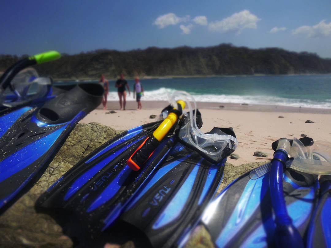 Pink Sand Tours-诺萨拉必去景点