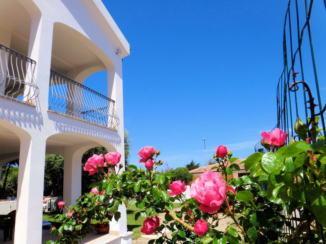 Valledoria酒店住宿-Hotel La Tartaruga Bianca