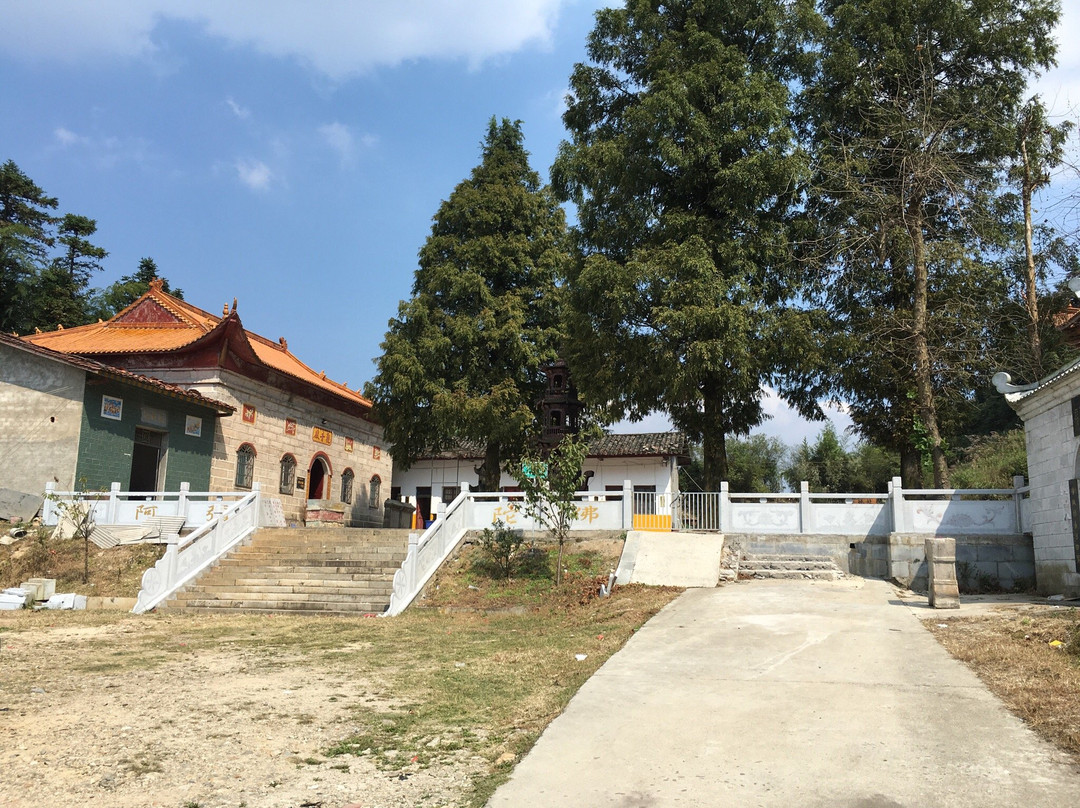 大云山国家森林公园-岳阳县必去景点