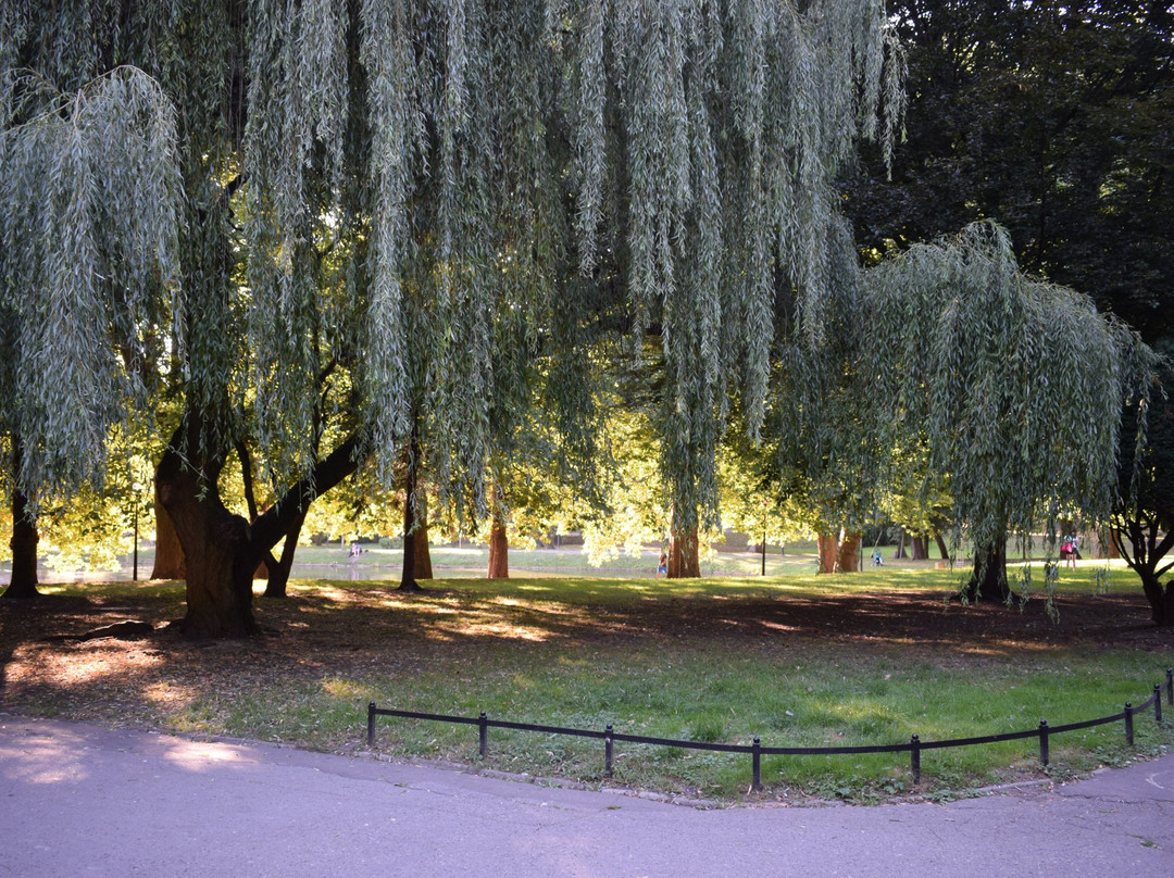 Park Wiosny Ludow景点图片