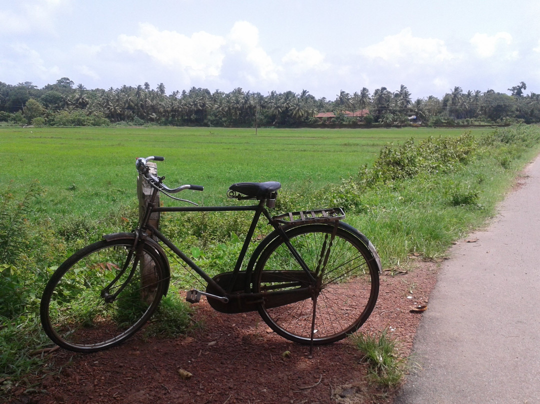 Simply Homestay