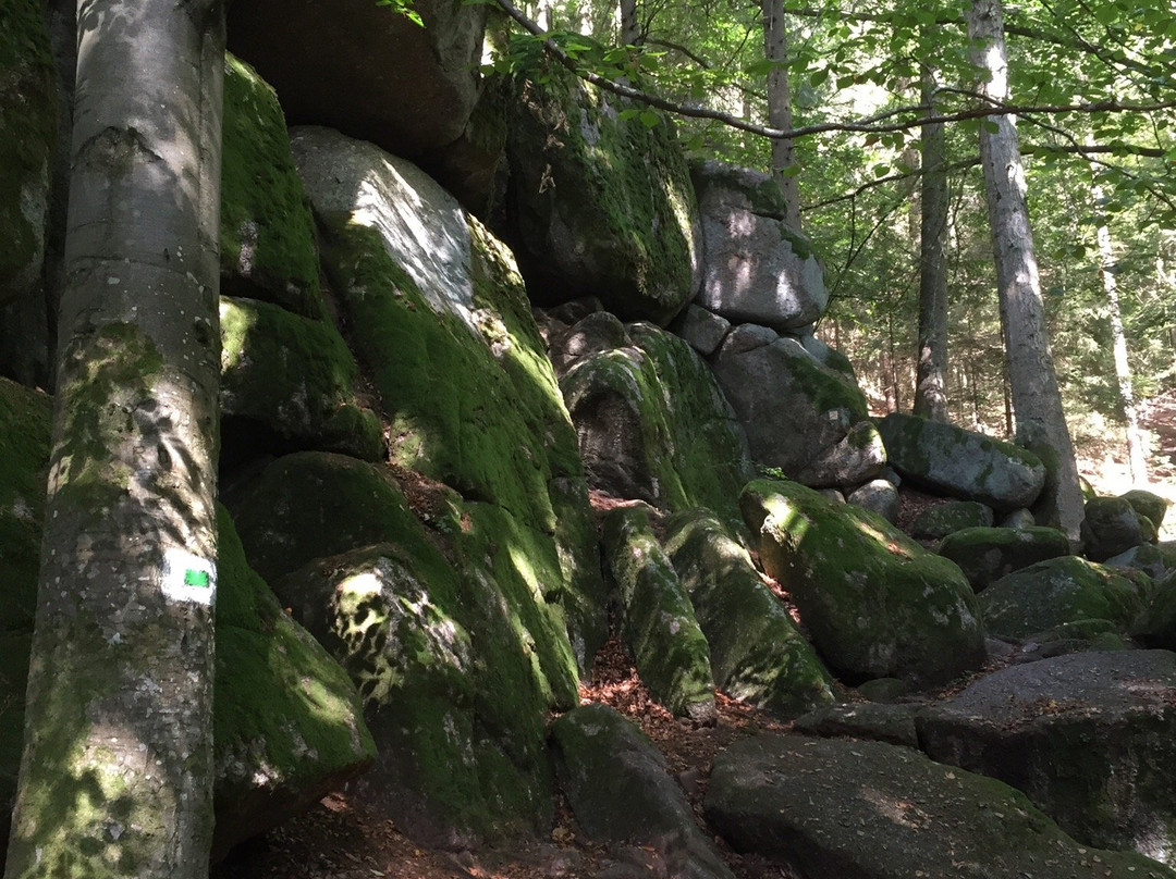 Naturschutzgebiet Hölle-Rettenbach必去景点