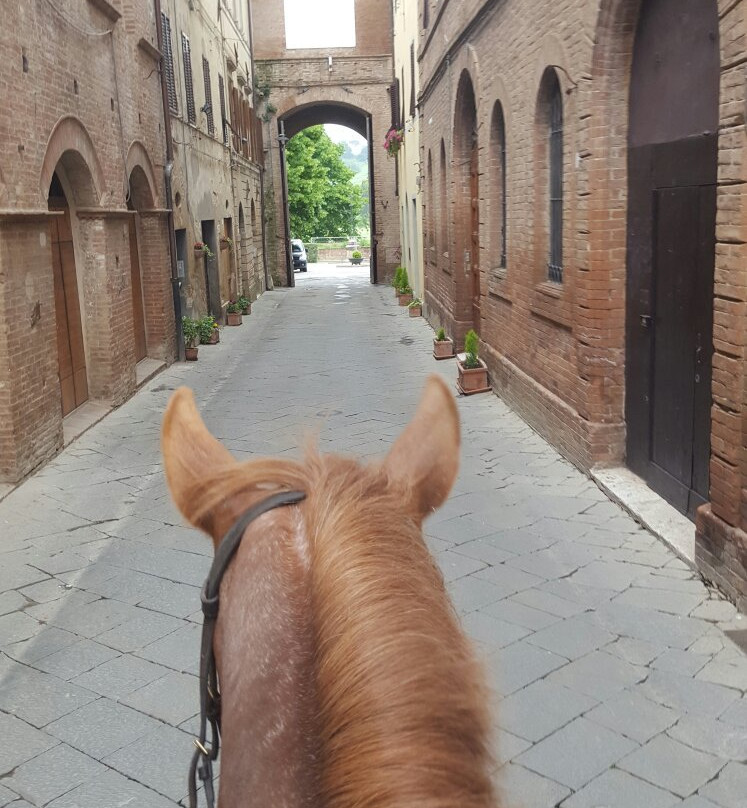 ASD Il Destriero-Buonconvento必去景点