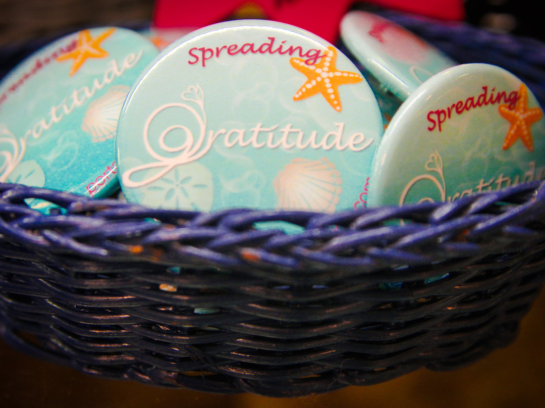 Gratitude-阿兰瑟斯港必去景点