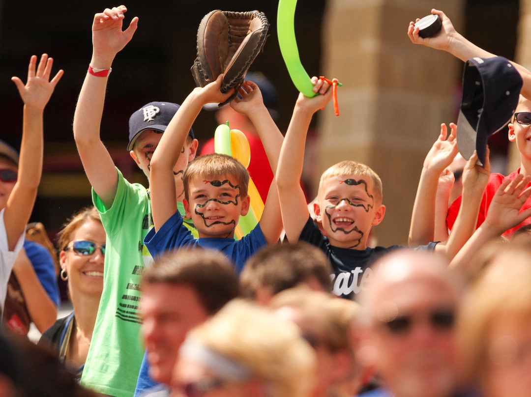 Neuroscience Group Field at Fox Cities Stadium-阿普尔顿必去景点