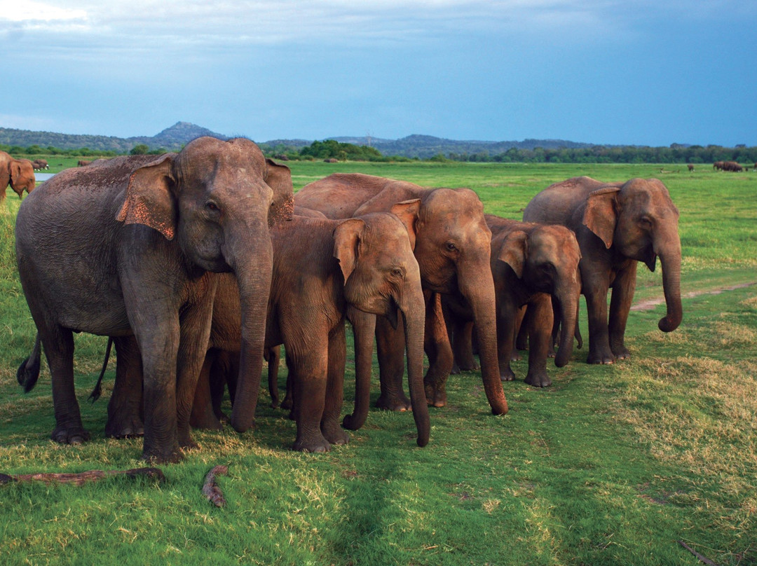 Onara Tours-加勒必去景点