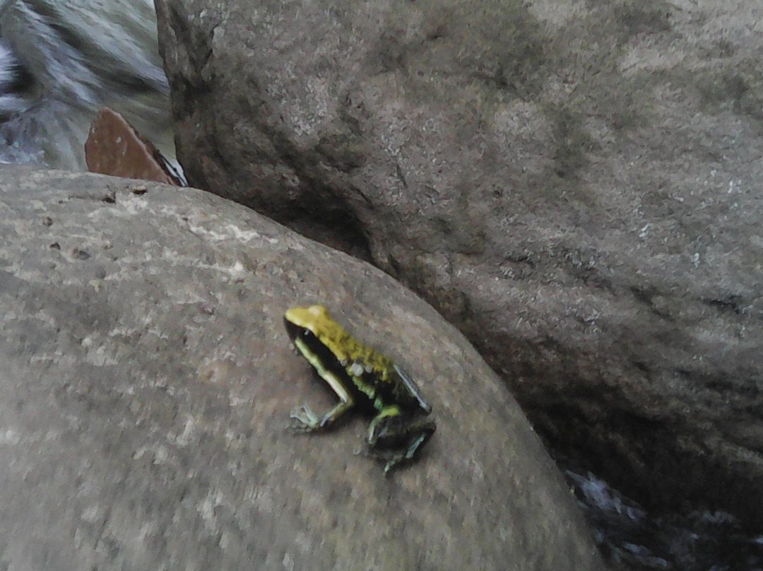 Circuitos Ecoturísticos Alto Shilcayo y Adyacentes-Tarapoto必去景点