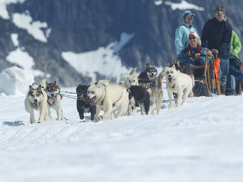 Panhandle Excursions-朱诺必去景点