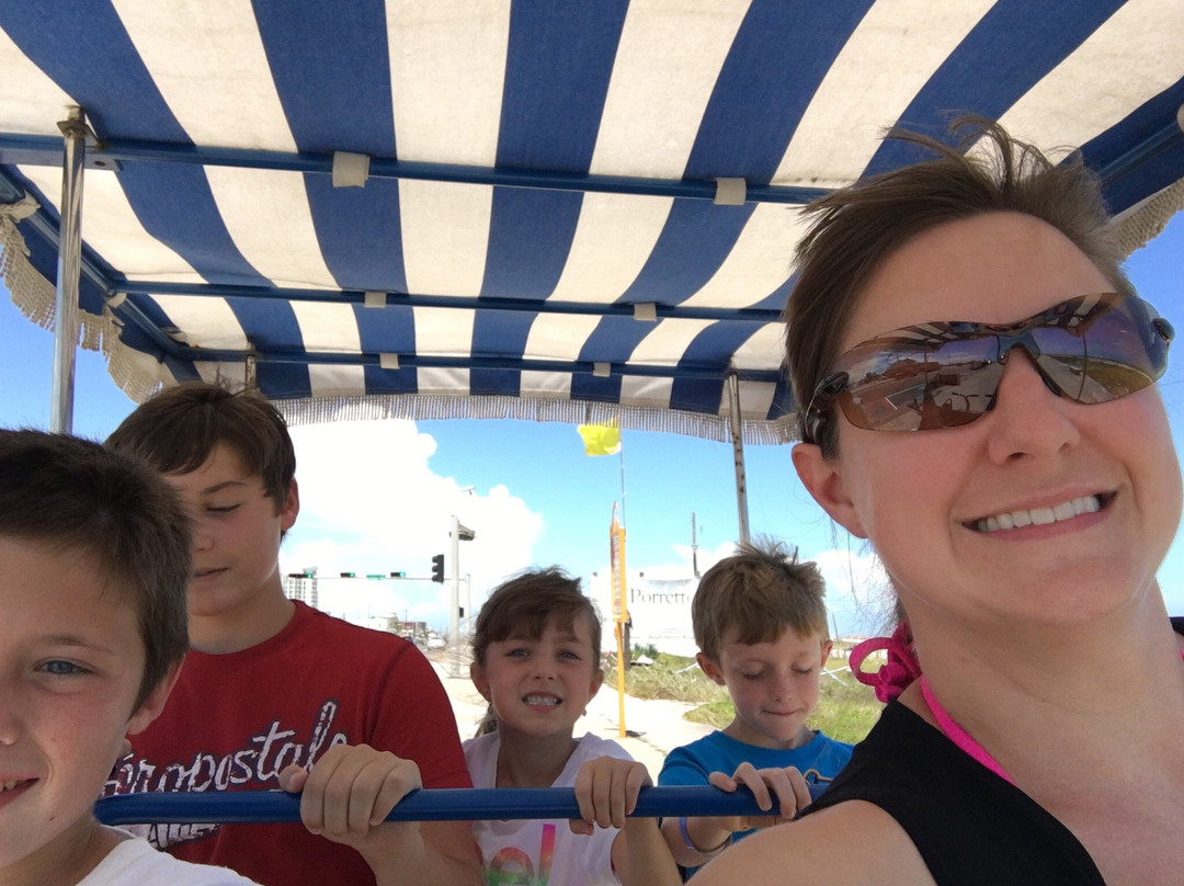 Jungle Surf Rentals-盖维斯顿必去景点