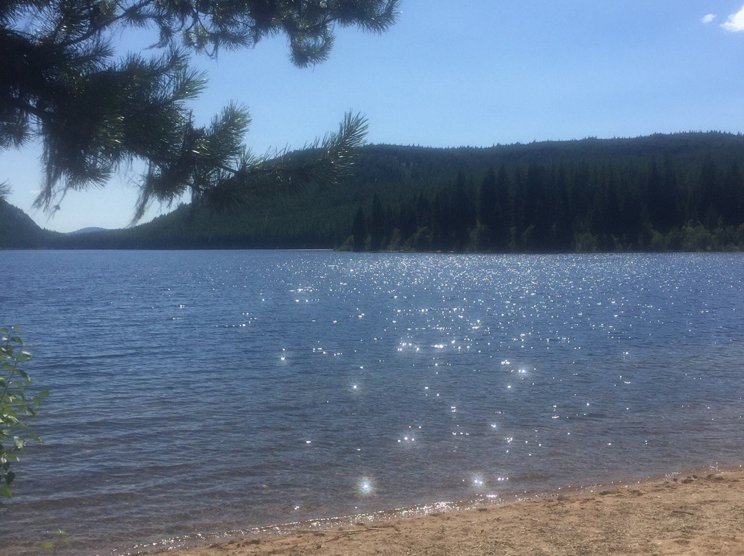 Conkle Lake Provincial Park-不列颠哥伦比亚省必去景点